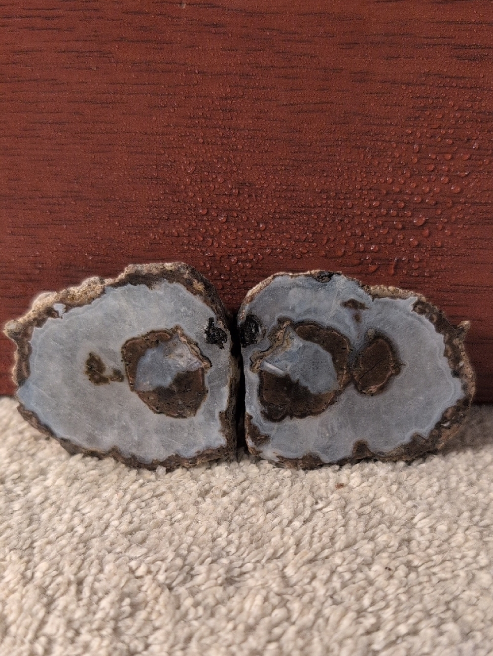 Thunderegg #31